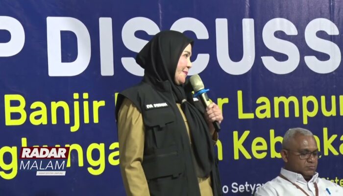 Pakar Paparkan Penanganan Banjir di FGD IIB Darmajaya