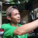 6 Harimau Sumatera Muncul di Persawahan Agam Warga Sembunyi di Pondok