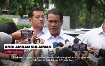 Mentri Pertanian Lapor Presiden Stok Beras Hingga Ekspor Pupuk Ke Empat Negara