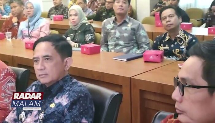 Pemprov Gandeng DPP REI Dorong Kawasan Strategis