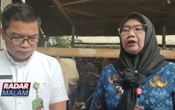 Pemprov Kerahkan 1 229 Petugas Awasi Hewan Kurban