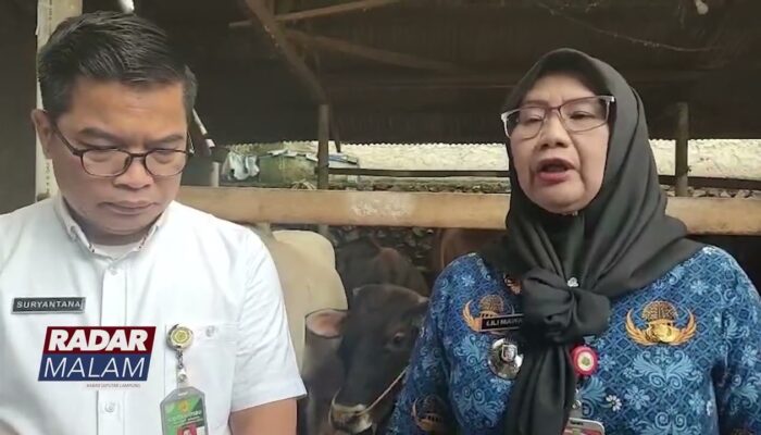 Pemprov Kerahkan 1 229 Petugas Awasi Hewan Kurban